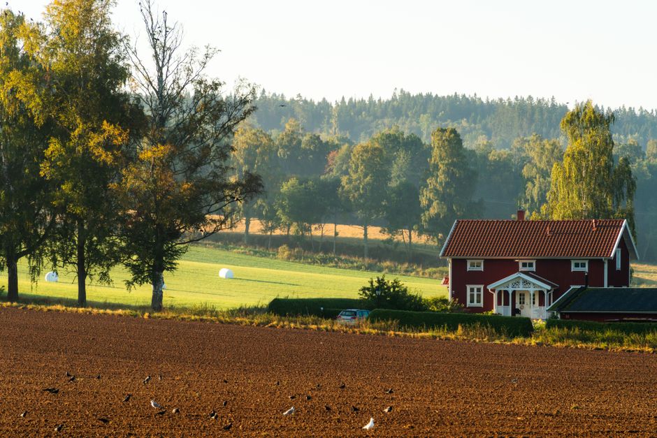 Duurzame zachte stoffen in interieurontwerp.